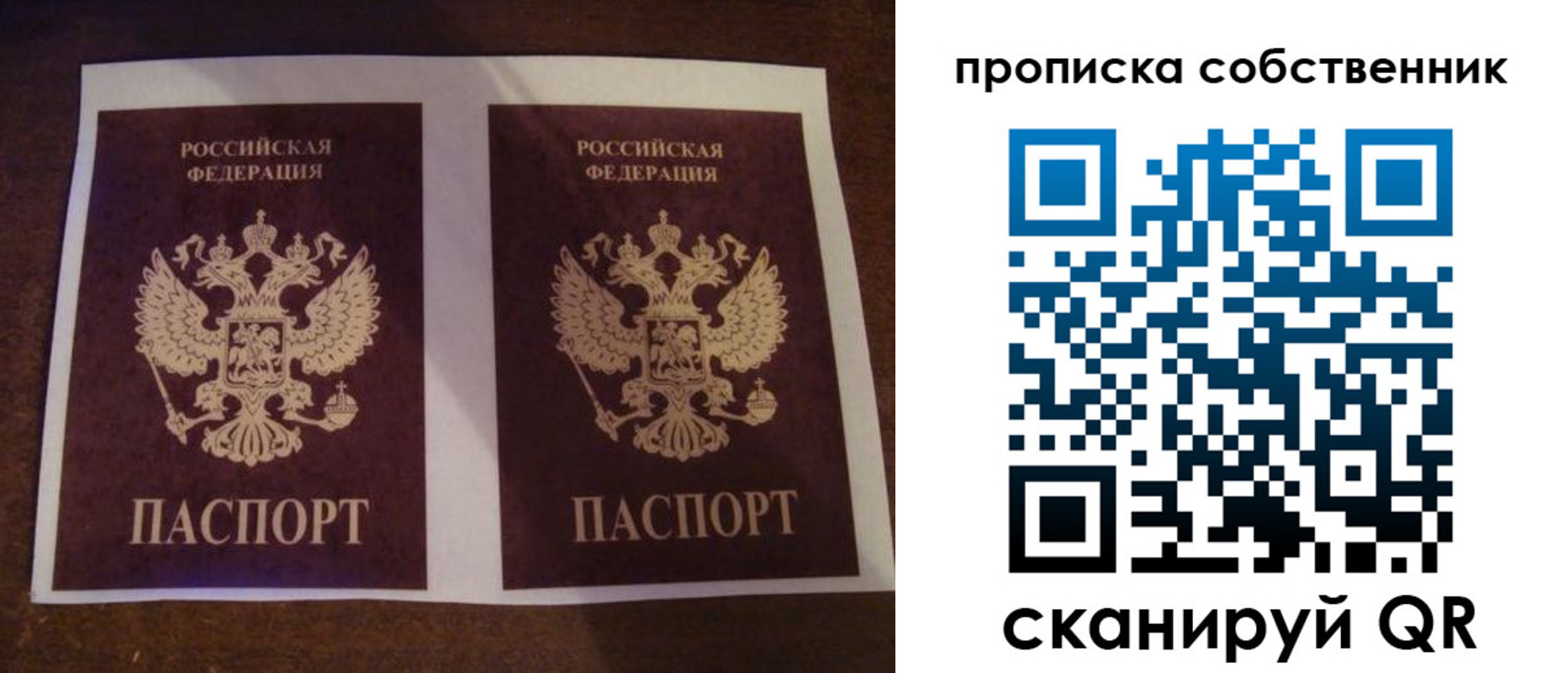 прописка ребенка в Лосино-Петровском